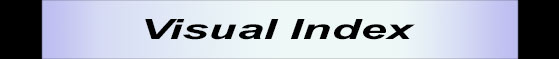 hose visual index link